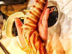 -鲜入围煮花胶鸡海鲜火锅