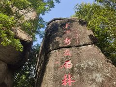 -汤旺河林海奇石景区