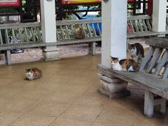 -荔湾湖公园