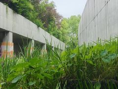 -中国湿地博物馆