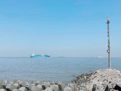 -上海滨江森林公园