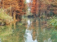 -西溪国家湿地公园