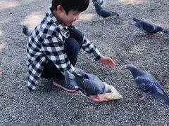 -水前寺成趣园