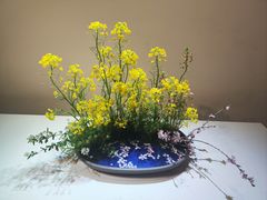 -巴巴新生活·四合院会议·疗愈团建.品牌活动