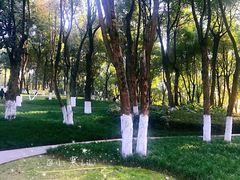 -重庆市江北嘴中央商务区中央公园