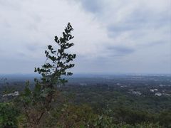 -海口火山口国家地质公园