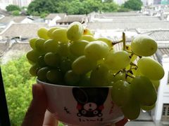 -超级物种(省府店)