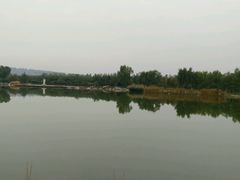 -燕郊植物园