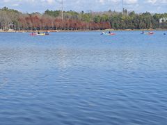 -上海海湾国家森林公园