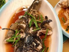 -四姑娘川味海鲜(八爪鱼店)