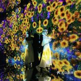 魔都看展|teamlab一部手机出大片的展览
