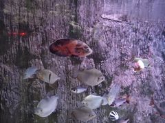 -多彩贵州城极地海洋世界