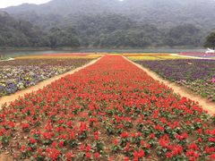 -广州市石门国家森林公园