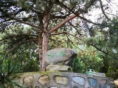 -北京鹫峰国家森林公园