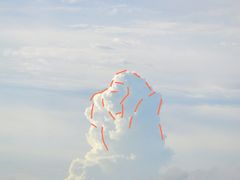 -杨梅坑