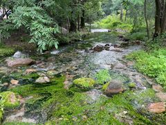 -玉渡山自然风景区