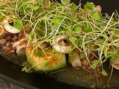 -Hi City·城市之巅