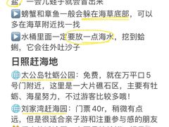-日照海滨国家森林公园