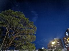 -麦当劳(沙河店)