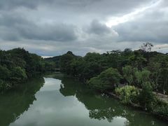 -花溪公园
