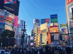 -涩谷全向十字路口