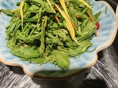 -花菇朵·云山雀 ll 野生菌锅·野果酸汤·精品滇菜(万柳店)