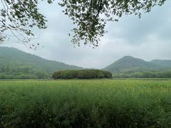 -八卦田遗址公园