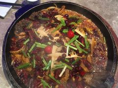 -老板恋上鱼(恒隆广场店)