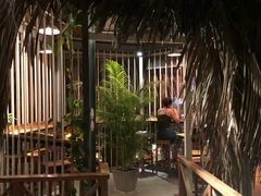 -Rainforest