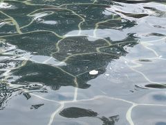 -腾冲洞山温泉村