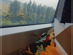 -临平南高铁站(地铁站)