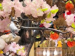 -北京清河万象汇