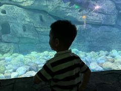 -泉城欧乐堡海洋极地世界