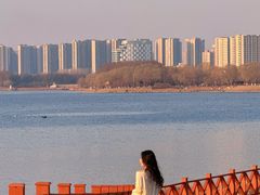 -丁香湖公园