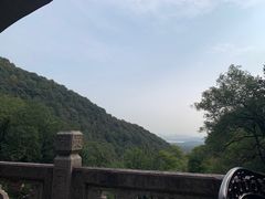 -韬光茶庵