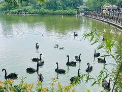 -杭州野生动物世界