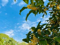 -狼山风景名胜区