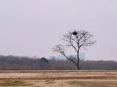 -盘龙城国家考古遗址公园