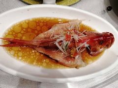 东星斑-东方明珠老上海8号餐厅
