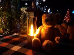 -咖法森林·咖啡  酒吧(天河店)