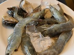 -烟台中泽华羿铂尔曼酒店·汇·全日餐厅·高空海景自助