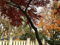 android_upload_pic-八大关景区