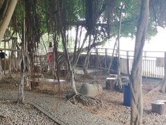 -胡里山炮台