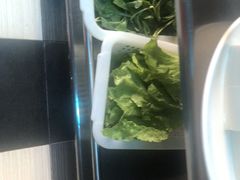 -正能量脆肉鲩火锅