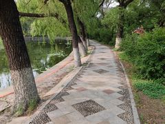 -北陵公园