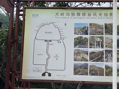-大岭沟猕猴桃谷风景区