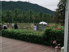 -亚龙湾国际玫瑰谷
