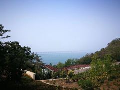 -星海湾跨海大桥