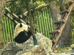 -武汉动物园