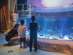 -沈阳海洋探索中心